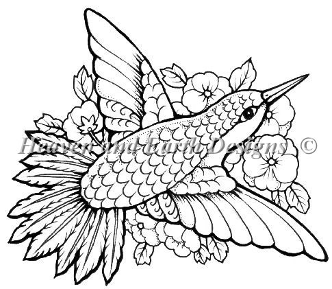 QS Hummingbird - Click Image to Close